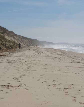 Immobilier au Touquet � Plage et C�te d�Opale, expertise vente immobili�re